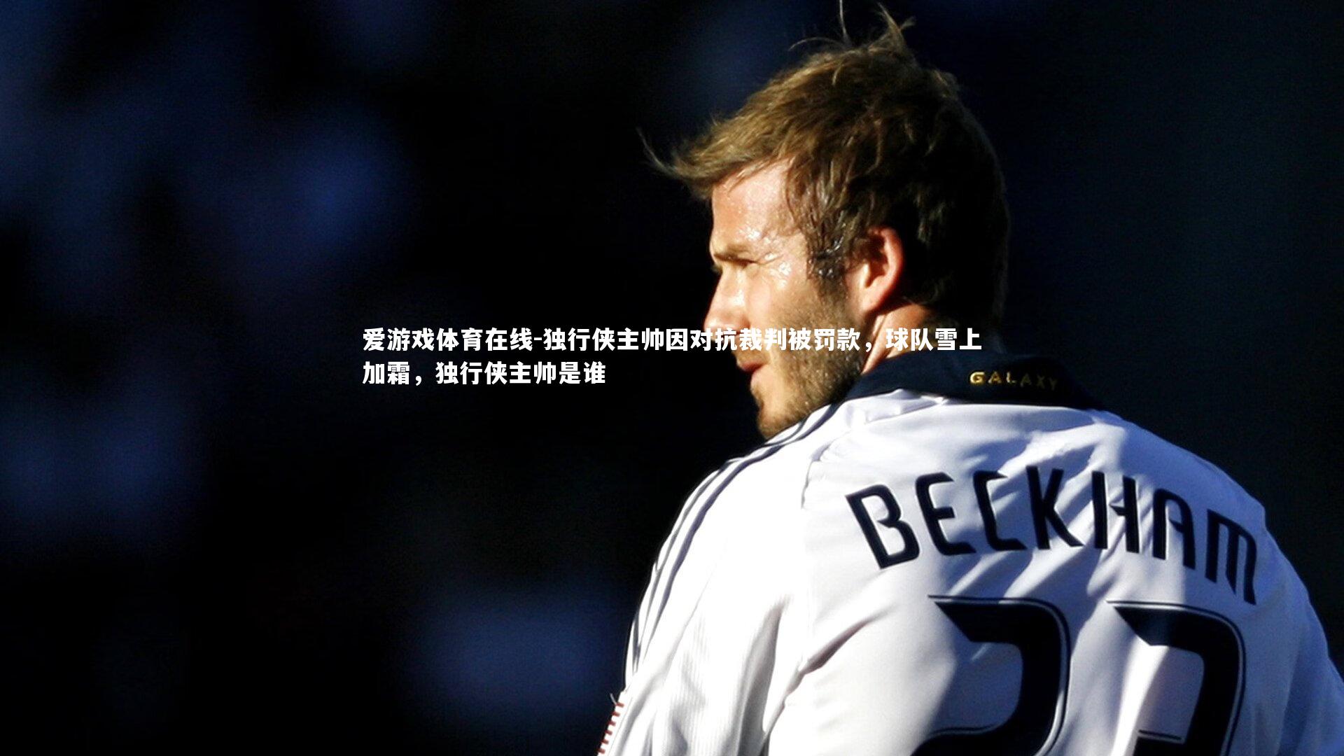 独行侠主帅因对抗裁判被罚款，球队雪上加霜，独行侠主帅是谁